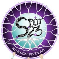 Spot 23 LLC logo
