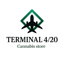 Terminal 420 logo