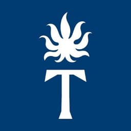 Torches NYC logo