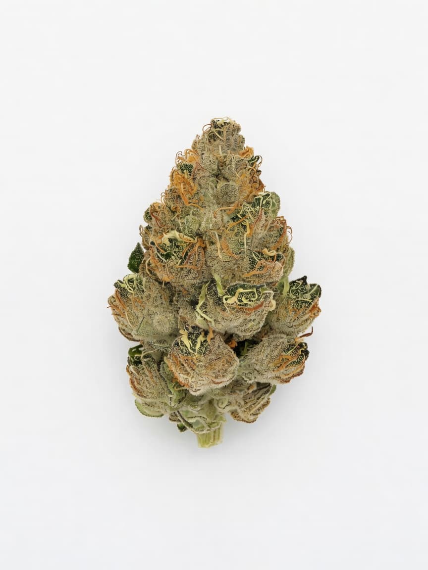 Melon Cream cannabis strain