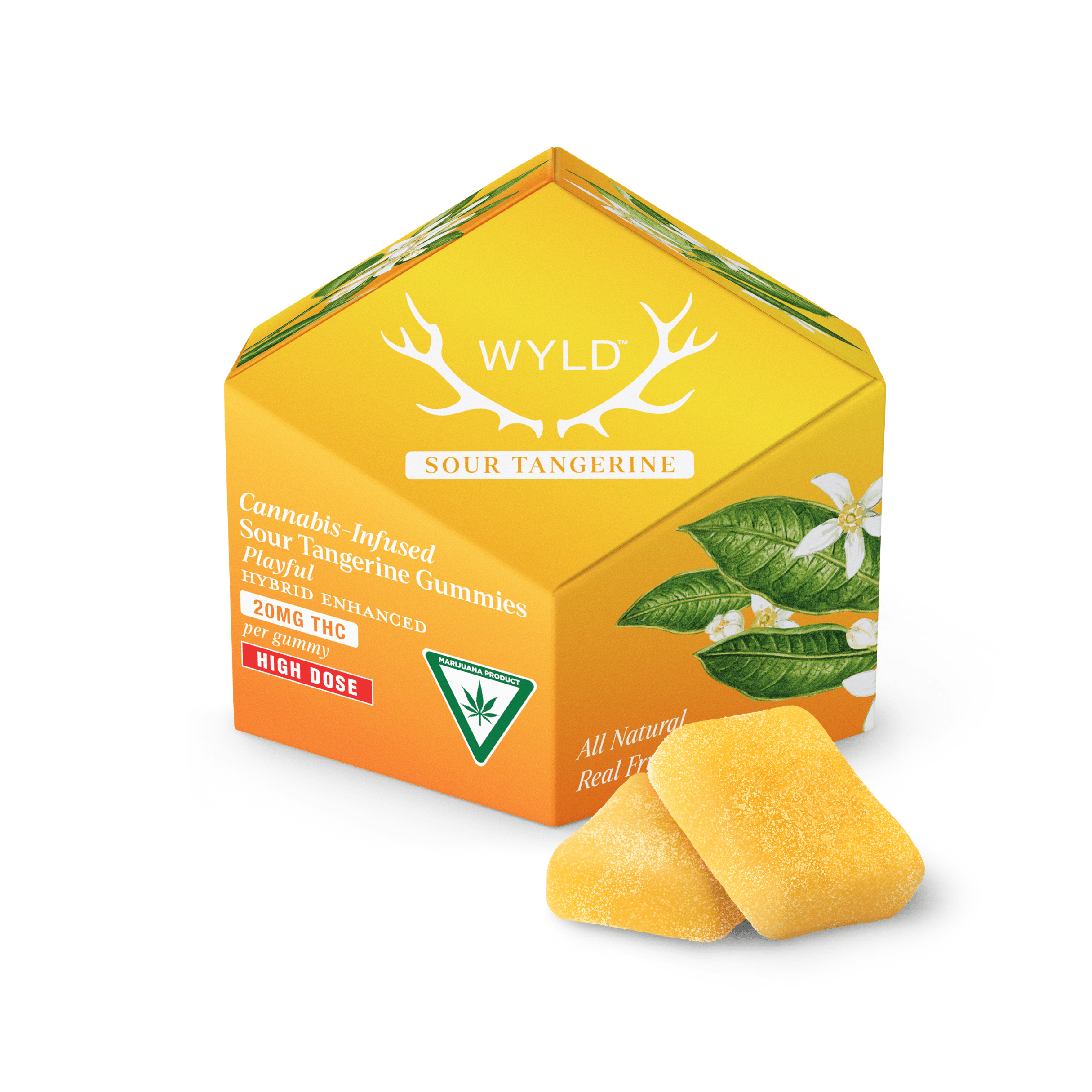 Tangerine 200mg Hybrid Gummies by Wyld