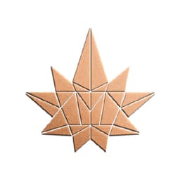 ASHE Society - San Bernardino logo