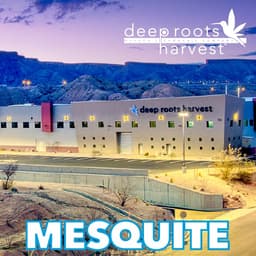 Deep Roots Harvest - Mesquite logo