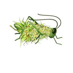 Grasshopper Cannabis Company logo