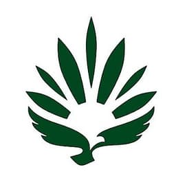 RISE Dispensaries - Las Vegas on South Rainbow logo