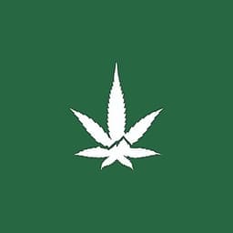 Rocky Mountain Cannabis - Truth Or Consequences logo