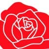 Rose Collective Cannabis & Weed Dispensary logo