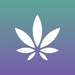 Surterra Wellness - Sebring logo