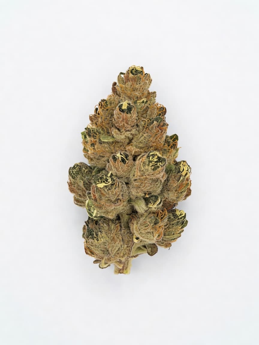 All Gas OG