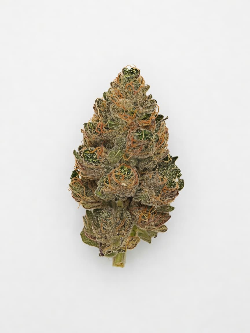 Berry Bomb Auto
