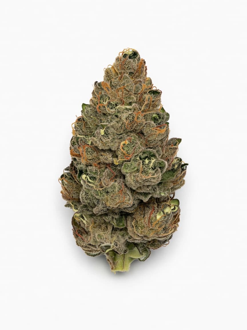 Big Stilton Auto
