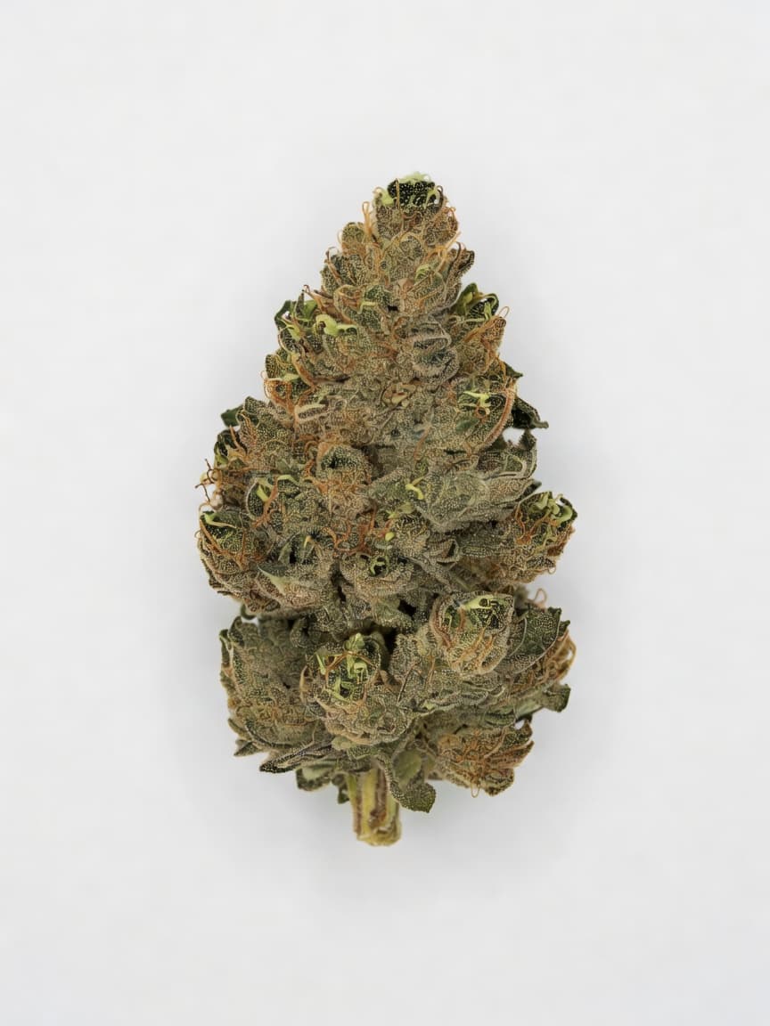 Black Russian