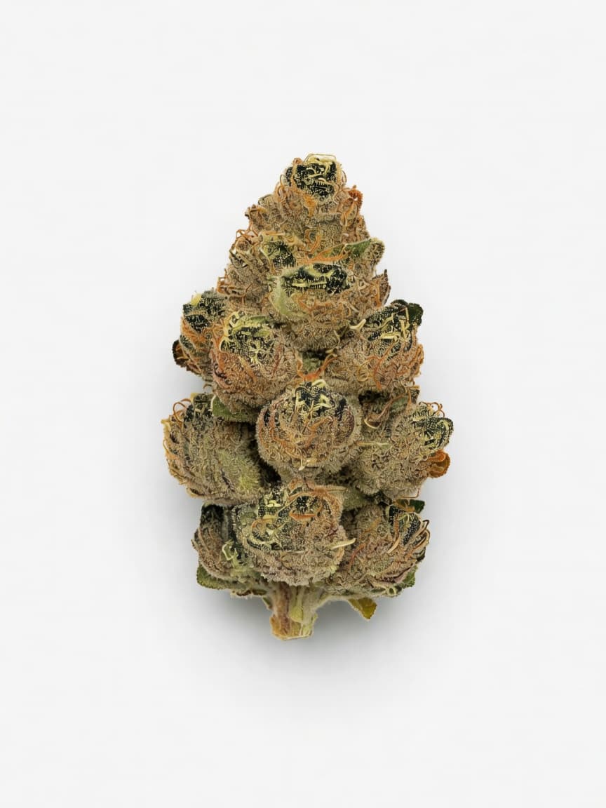 Blueberry Cookies Auto