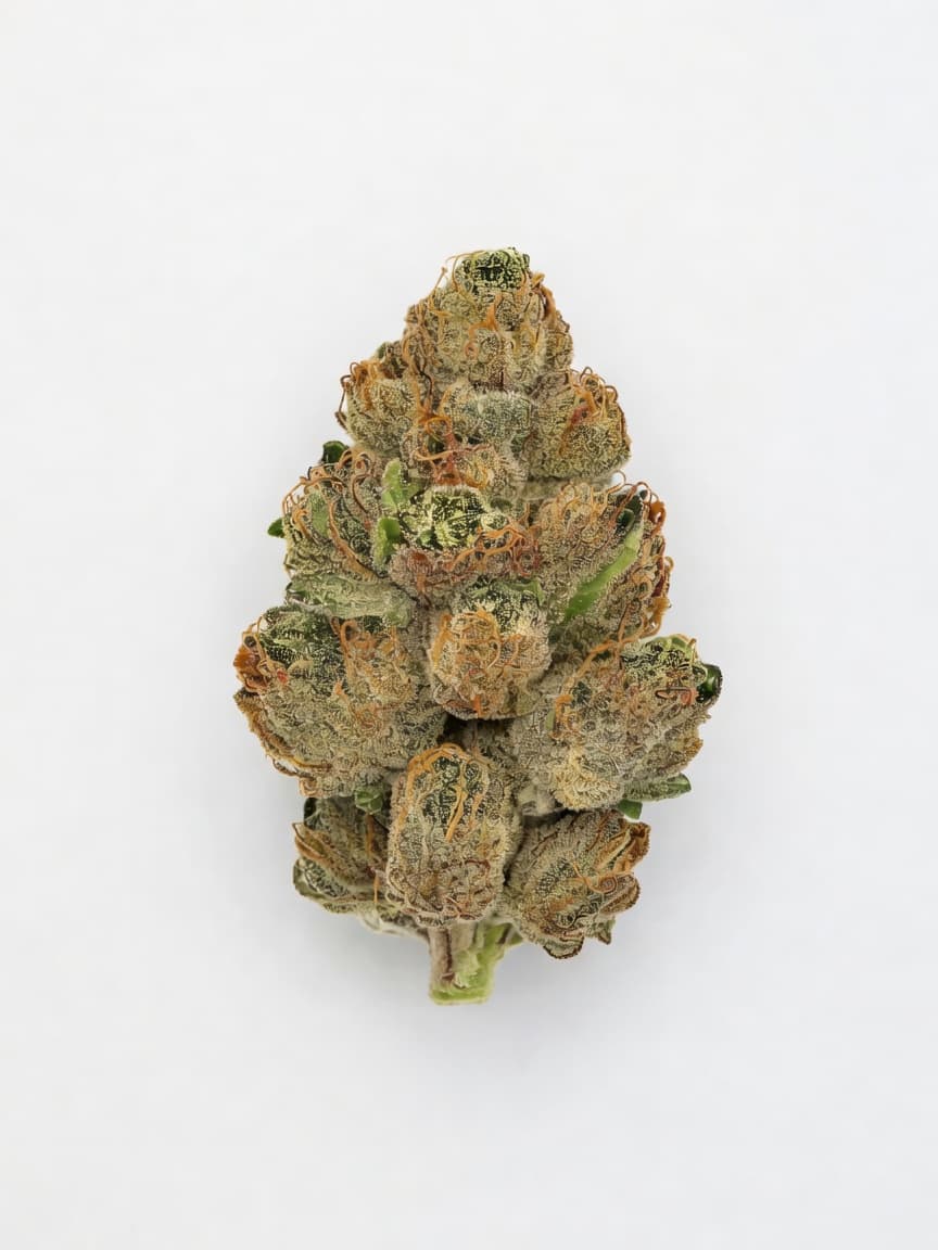 Blueberry Headband Auto