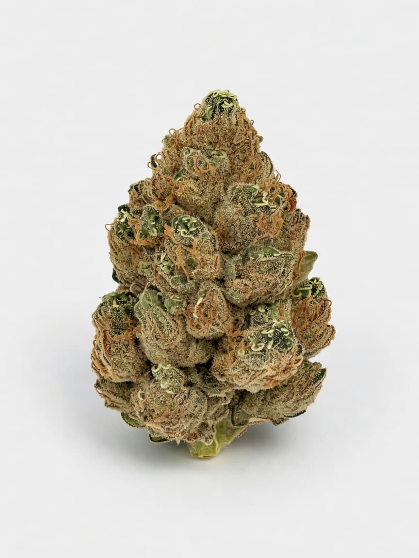 Cookies Krush