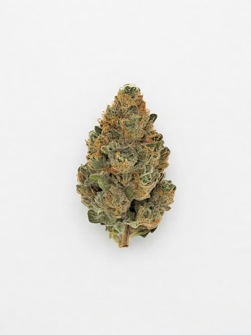 Diesel Haze
