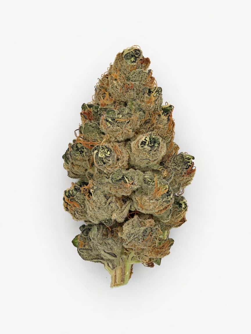 Lemon AK Auto
