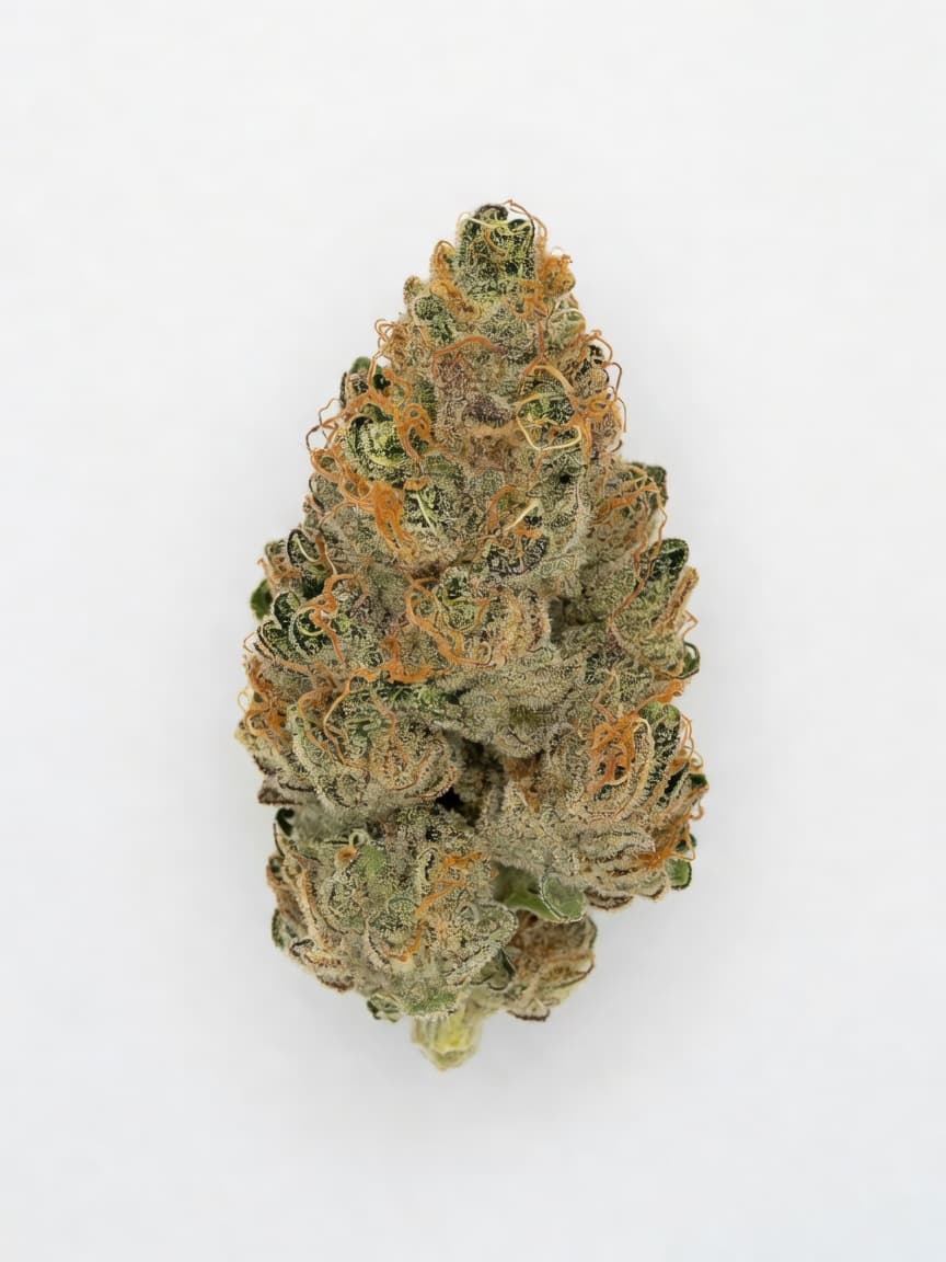 Lemonade Auto