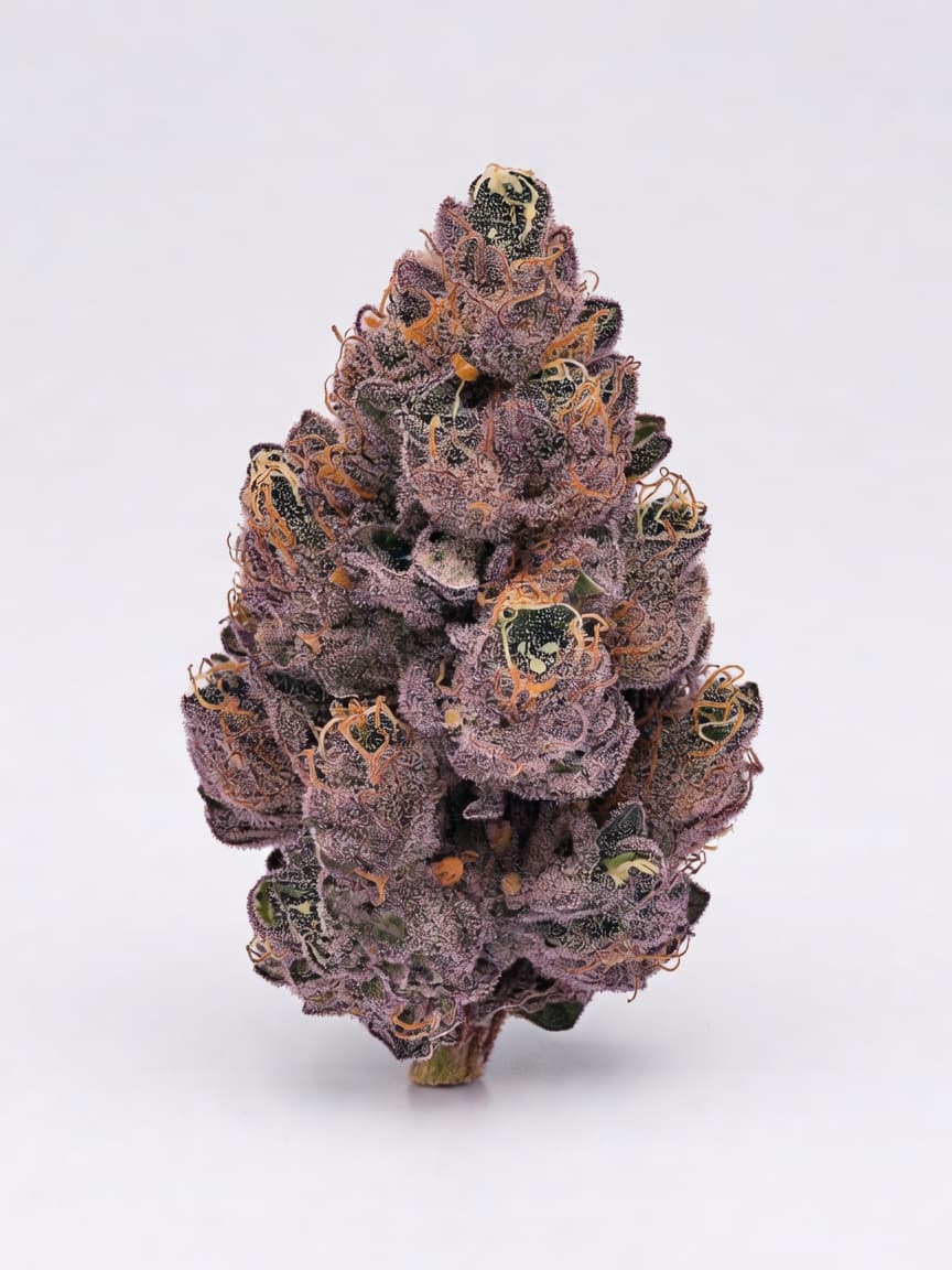 Purple Chem