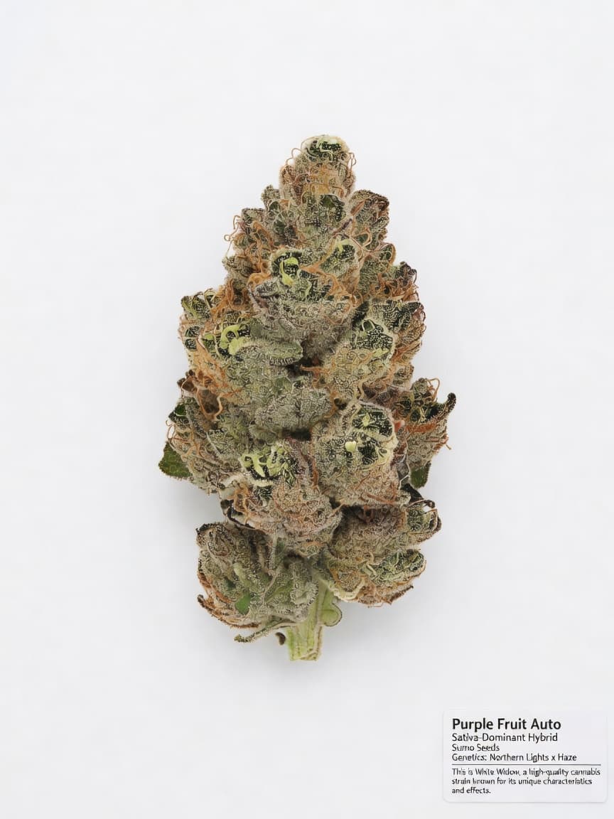 Purple Fruit Auto