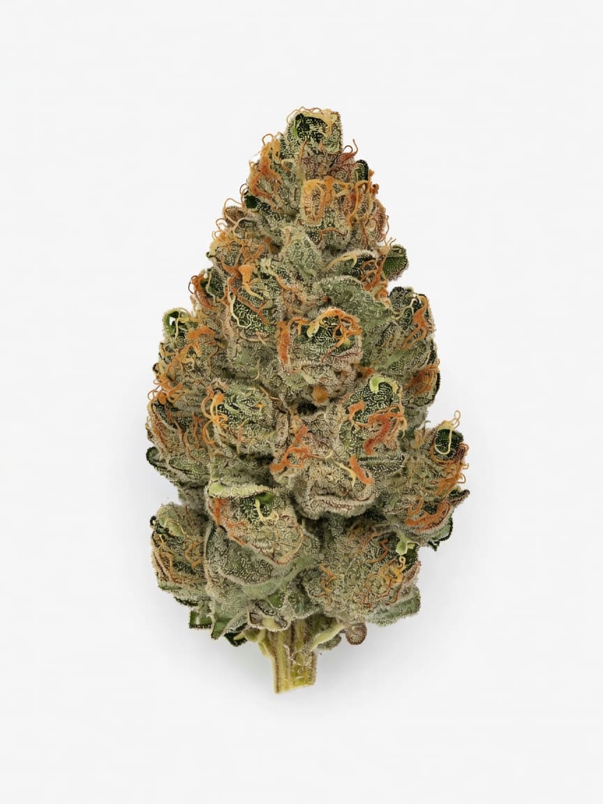 Tangie'matic