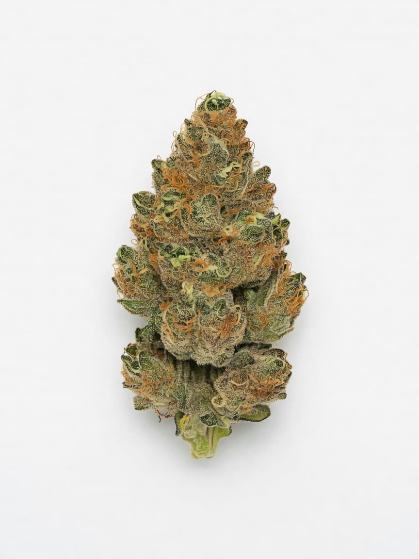Watermelon Zkittlez Auto