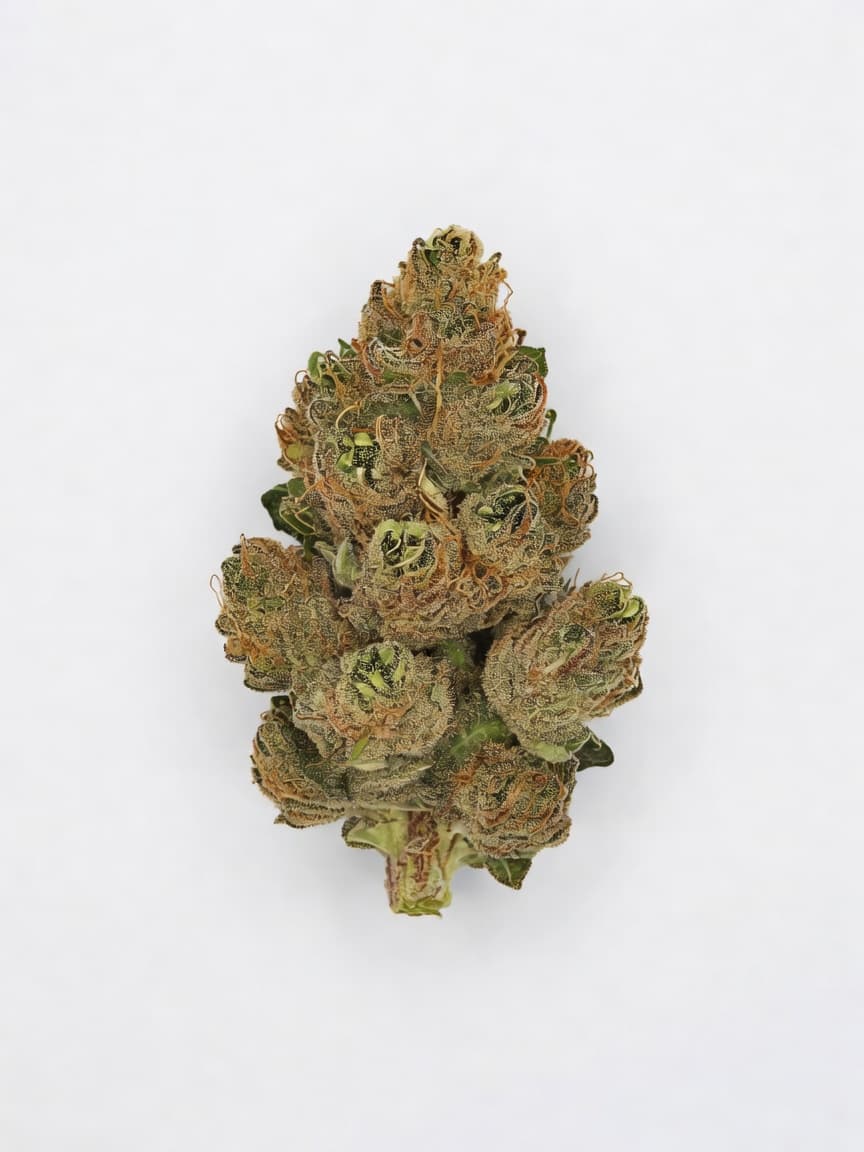 Yumbolt x Banana