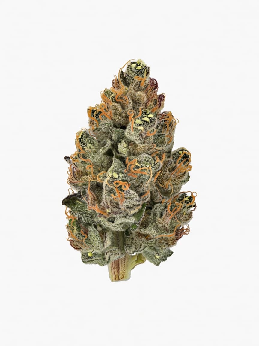 Zkittles