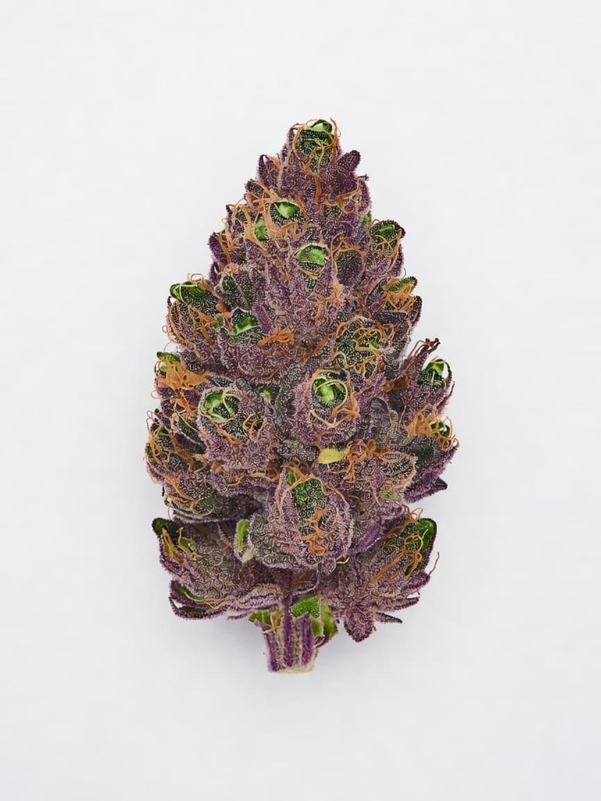 Zkittlez
